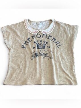 Japanese Kawaii Coquette Peter Pan Collar Graphic Short Sleeve Sweater Top Tee